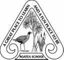 Ngatea Primary School